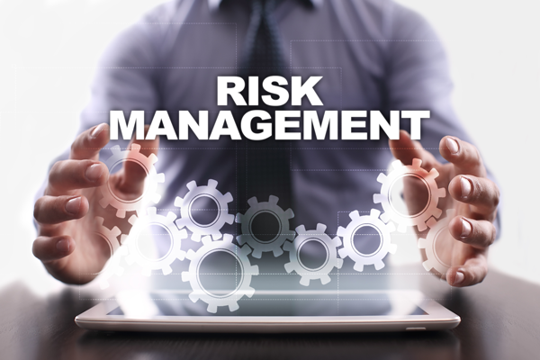 Image result for Risk Management Services